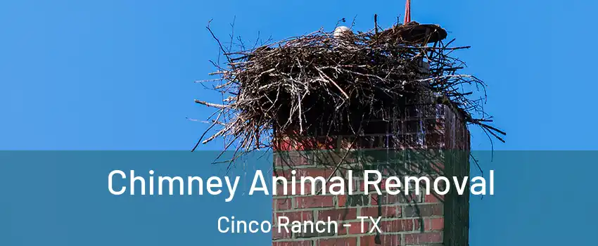  Chimney Animal Removal Cinco Ranch - TX
