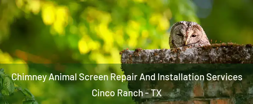  Chimney Animal Screen Repair And Installation Services Cinco Ranch - TX