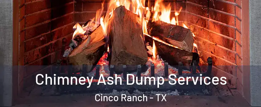  Chimney Ash Dump Services Cinco Ranch - TX