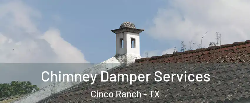  Chimney Damper Services Cinco Ranch - TX