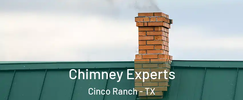  Chimney Experts Cinco Ranch - TX