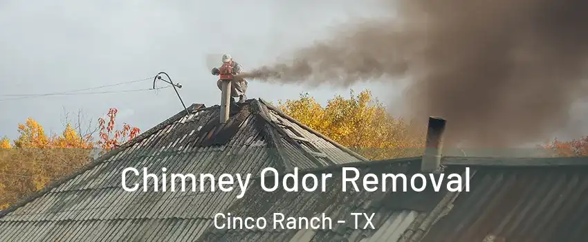  Chimney Odor Removal Cinco Ranch - TX