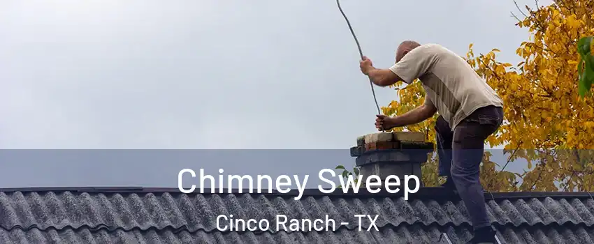  Chimney Sweep Cinco Ranch - TX