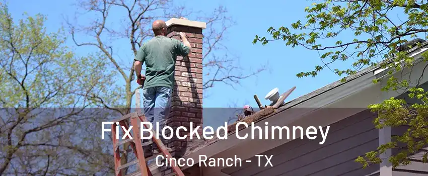  Fix Blocked Chimney Cinco Ranch - TX