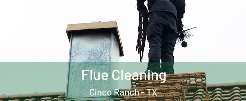  Flue Cleaning Cinco Ranch - TX