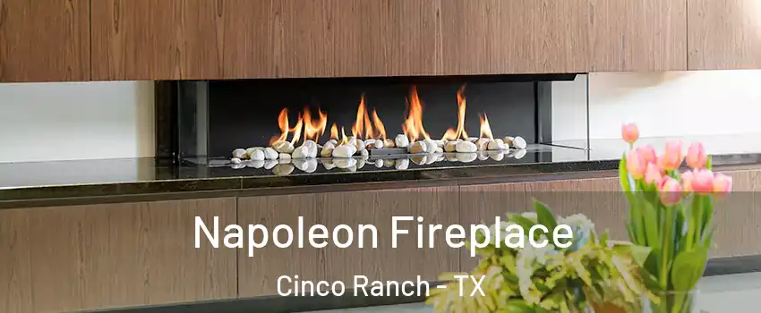  Napoleon Fireplace Cinco Ranch - TX
